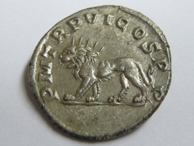 Philippus Lion 009.jpg