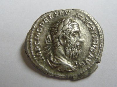 Macrinus 21.01.2011 014.jpg