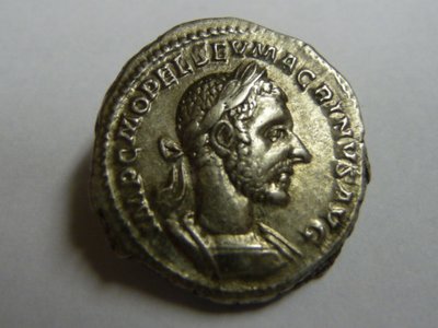 Macrinus 21.01.2011 006.jpg