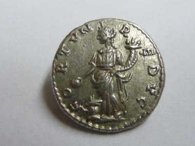 Septimius neu 005.jpg