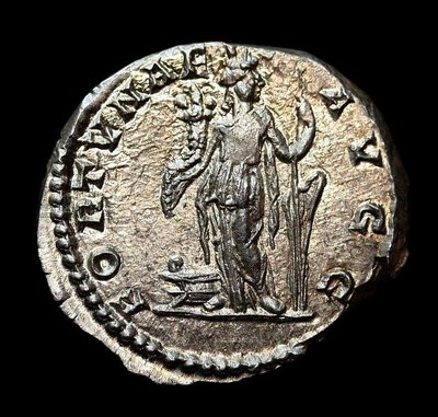 049-067_Septimius_Severus_Rv-n.jpg