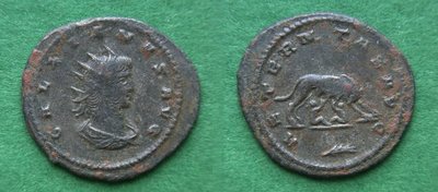 Gallienus-Antoninian-ANTIOCHIA-Luparechts-GÖBL1628.jpg