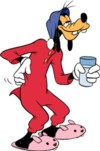 goofy5.jpg