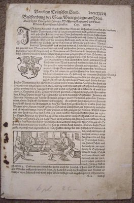 Habsburg-1555-1.jpg