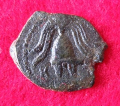 04 v.- 06 n. Herodes Archelaos Prutah, MG 86  (2).JPG