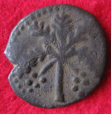 1166-1189 Wilhelm II., Trifollaro Palermo, Sp 119 (2).JPG