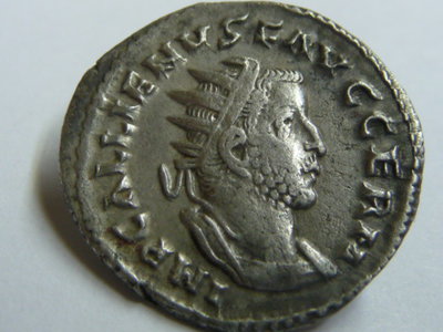 Gallienus 02-2016 003.JPG