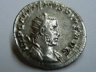 Gallienus 02-2016 010.JPG