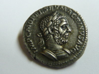 Macrinus 2019 008.JPG