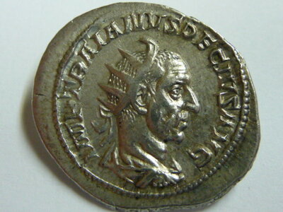 Decius Virtus 005.JPG