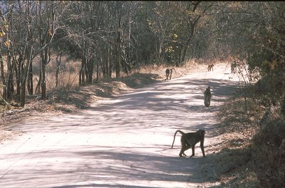 Matopos 2.jpg