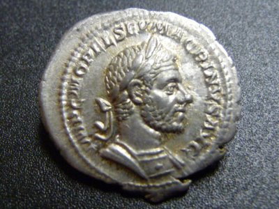 Macrinus 036.jpg