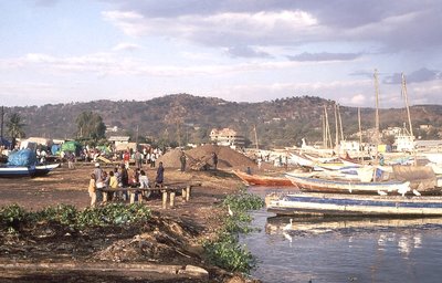 #31_Mwanza Muschelschalen.jpg