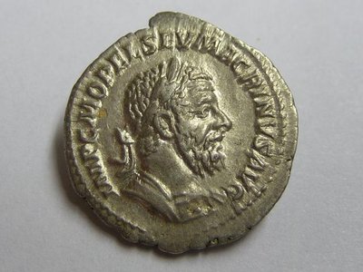 Macrinus 145.jpg