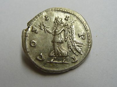 Septimius 170.jpg