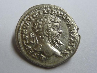 Septimius 161.jpg