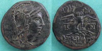 Mysia Pergamon Athena Eule.jpg