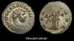 Carausius2