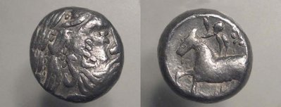 TDR Typus Eselsohr.jpg