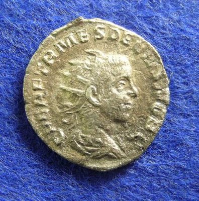 1577c.jpg