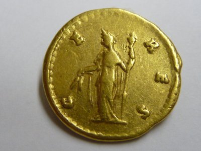DIVA Aureus 020.jpg