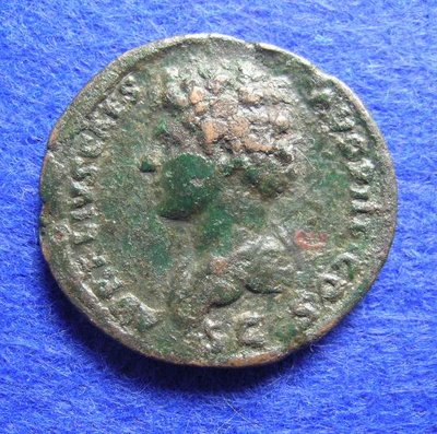 2603b.jpg