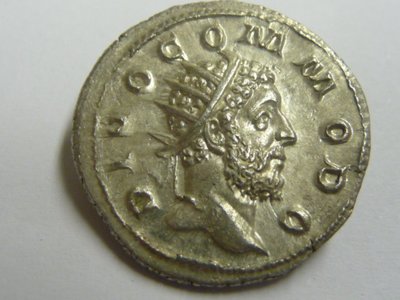 Divo Commodo 003.jpg