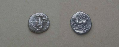 KS Apollokopf Leierblume J3.j.d.jpg