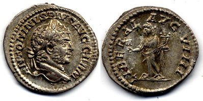 e4363cara.jpg