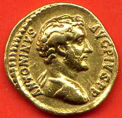 515A.jpg