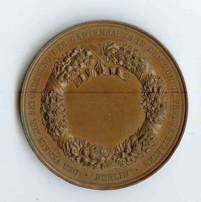 Der-Verein-rs.jpg