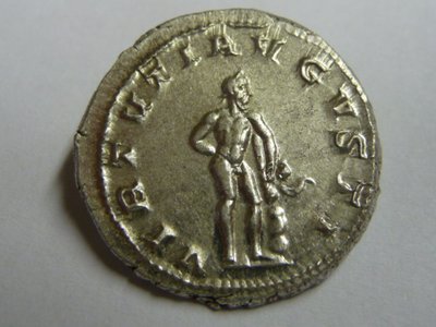 geputzter Gordi 010.jpg