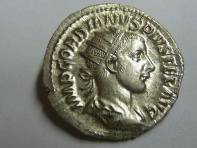 geputzter Gordi 005.jpg