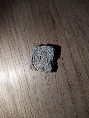 IMG_20210802_201844.jpg