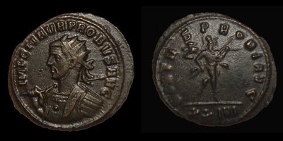 Probus Spear.jpg