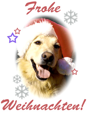 xmas.jpg