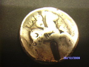 SANY1261.JPG
