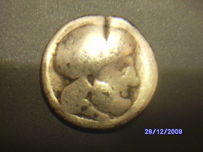 SANY1263.JPG