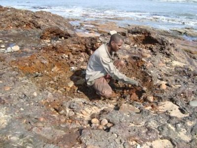 Copy of Neue Fotos Juli 009.jpg