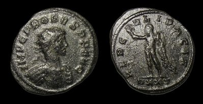 Probus Hercules.jpg
