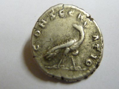 Faustina Maior 015.jpg