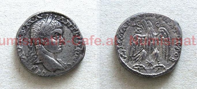 Elagabalus-Tetradrachmon-ANTIOCHIA-Adler-McAlee758